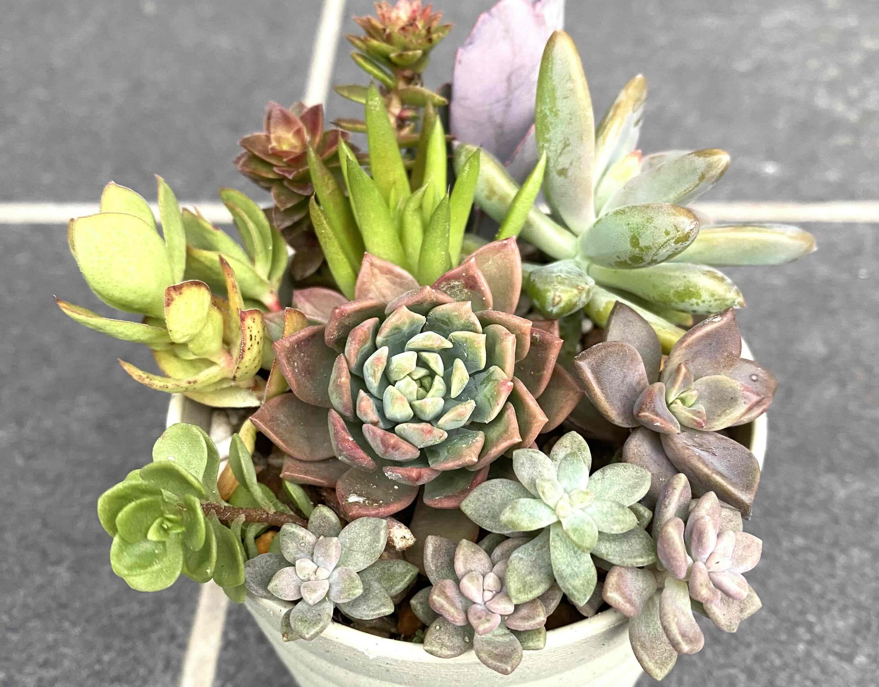 川口さん（編集済み）